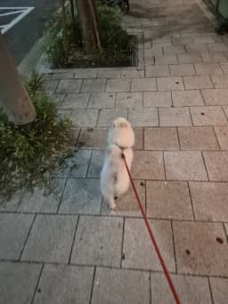 게시글 첨부 이미지