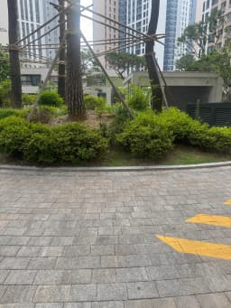 게시글 첨부 이미지