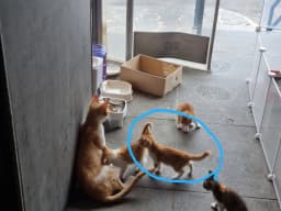 게시글 첨부 이미지